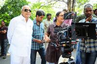 Sri Venkata Narasimha Criations Movie Opening